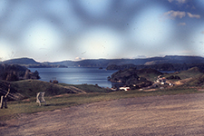 1972 Tarunga & Rota Rua New Zealand